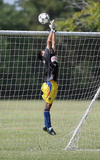 CBA球队伤病更新及战术调整